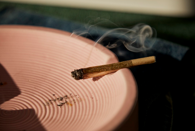 Beginner Guide on How to Make a Joint Burn Slower