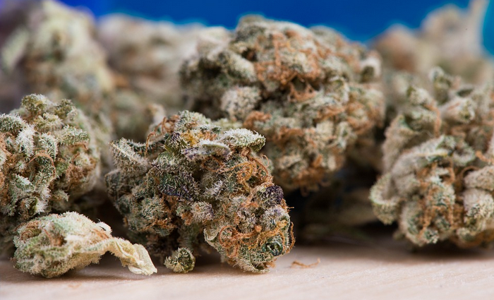 dried weed