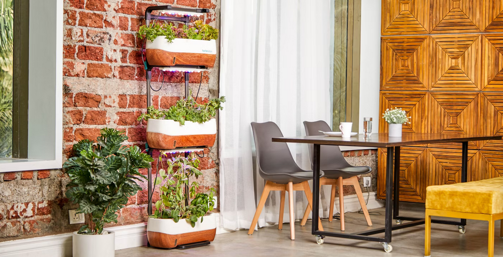dining set
